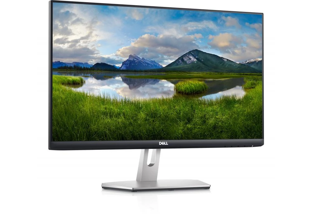 Dell S2421HN 24" FHD IPS 75Hz  monitor Ultra-Thin Bezel Monitor 2x HDMI Ports Audio Line Out Adaptive AMD FreeSync