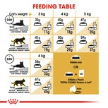 royal canin persian 30 - /10kg