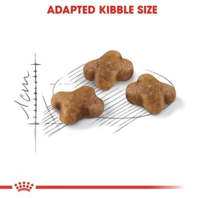 Royal Canin kitten - /10kg