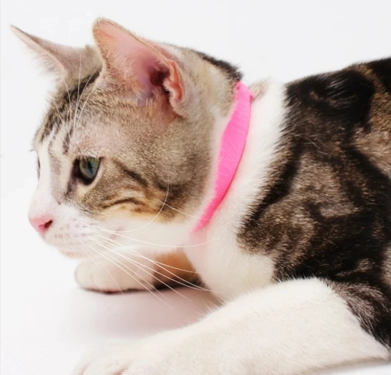 Cat insect collar  - /35cm