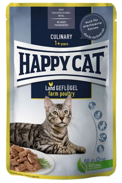 Wet Food Chicken Flavor  - /85g