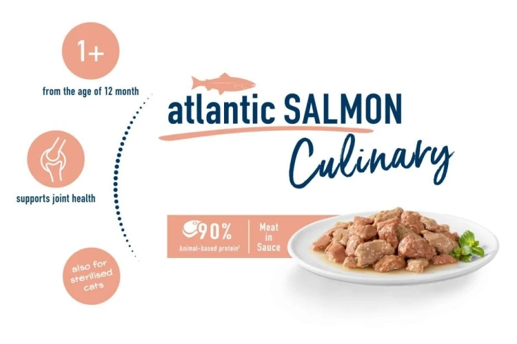 Wet food salmon  - /85g