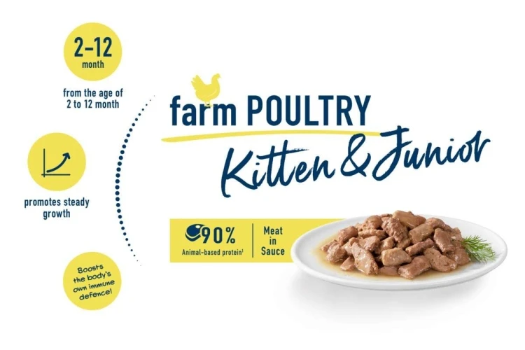 Wet food kitten chicken  - /85g