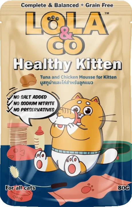 Lola healthy kitten  - /80gm