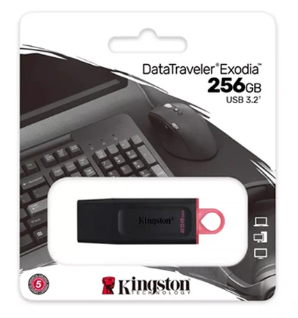 Kingston DataTraveler Exodia 256GB USB 3.2 Flash Drive