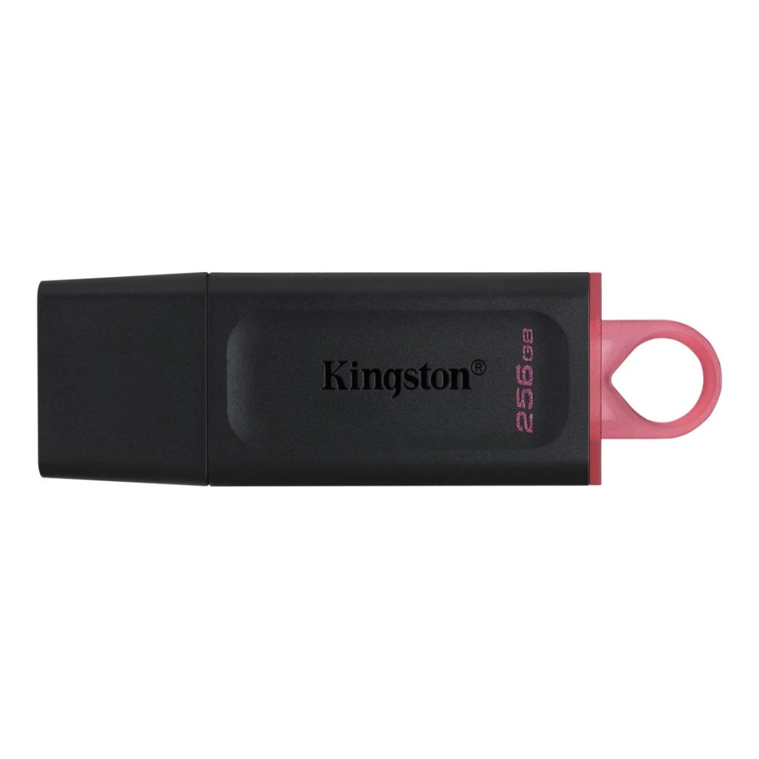 ذاكرة فلاش USB 3.2 من Kingston بسعة 256 جيجابايت DTX/256GB