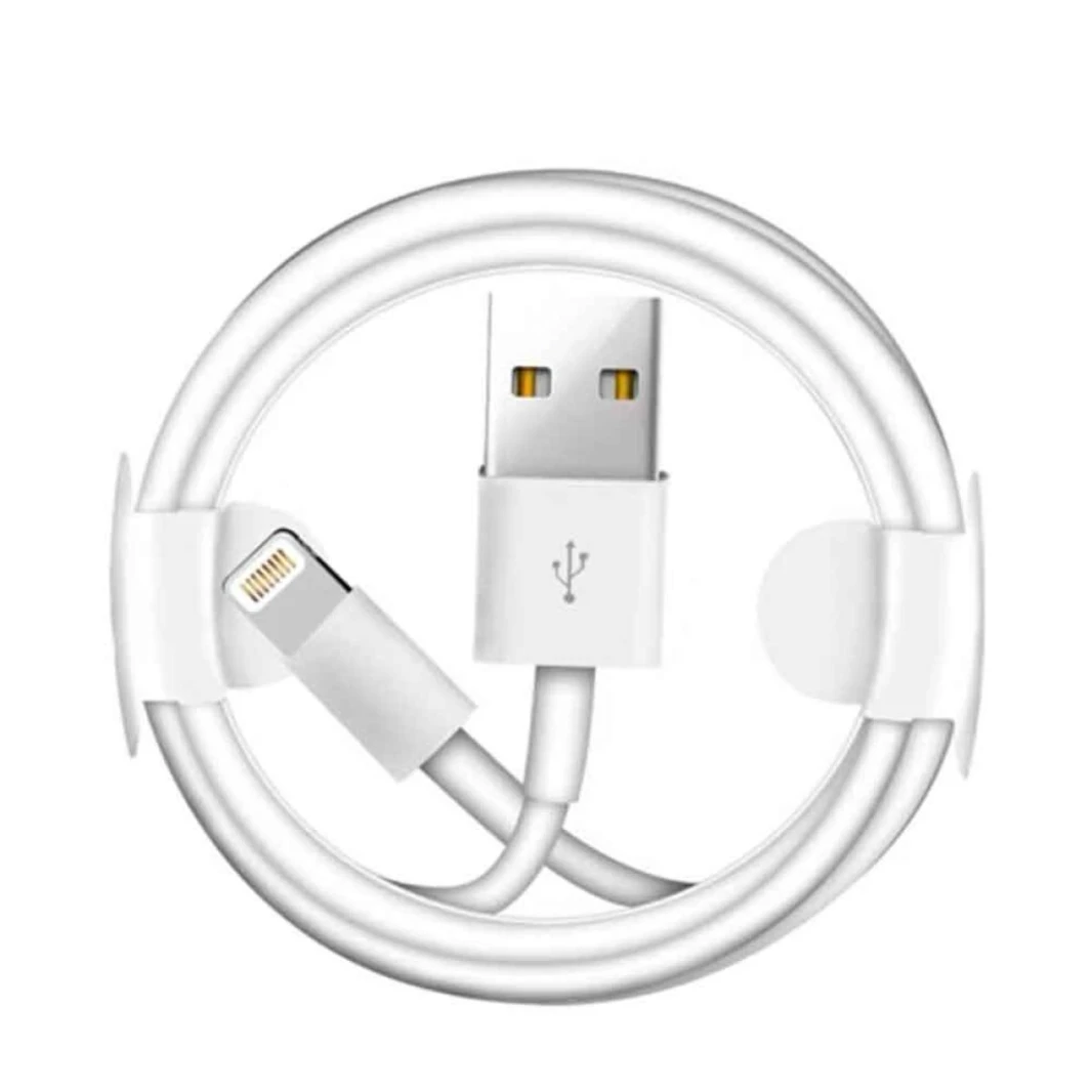 كابل Lightning إلى USB من iPhone - 1 متر