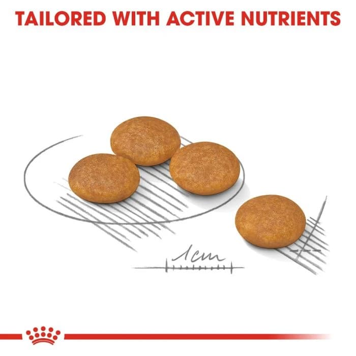Royal Canin Mini Dermacomfort 3KG