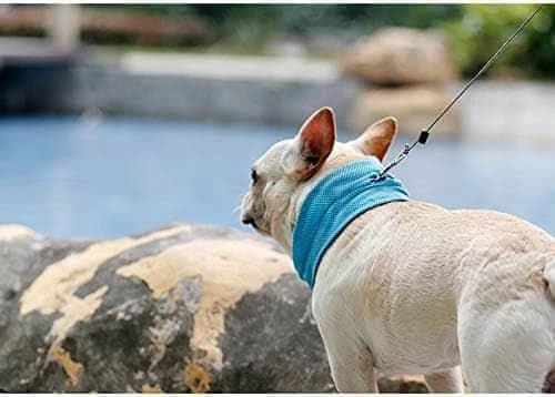 Furilized handkerchief to ventilate pets