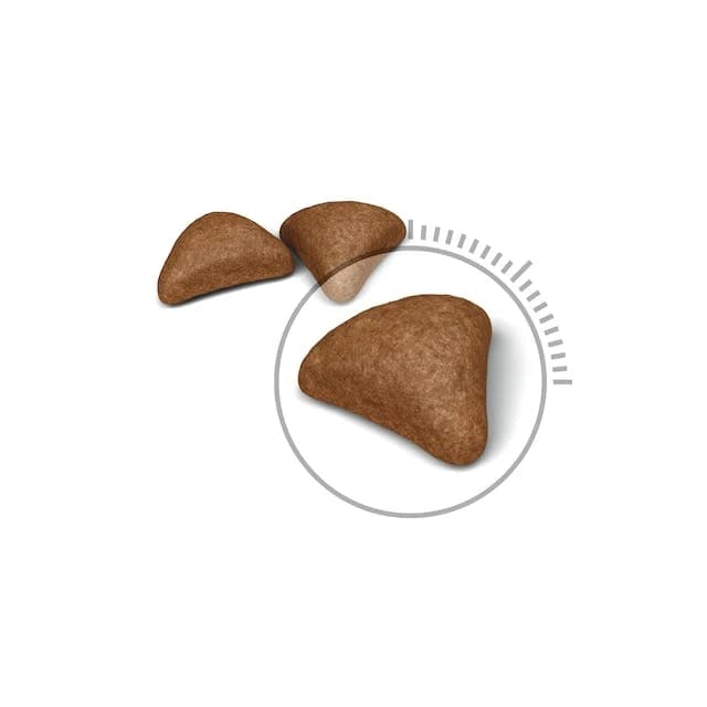 Royal Canin Dry Food Hairball Care for Cats with Special Formula to Reduce Hairball Formation and Improve Overall Health