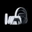 PS5 Accessories