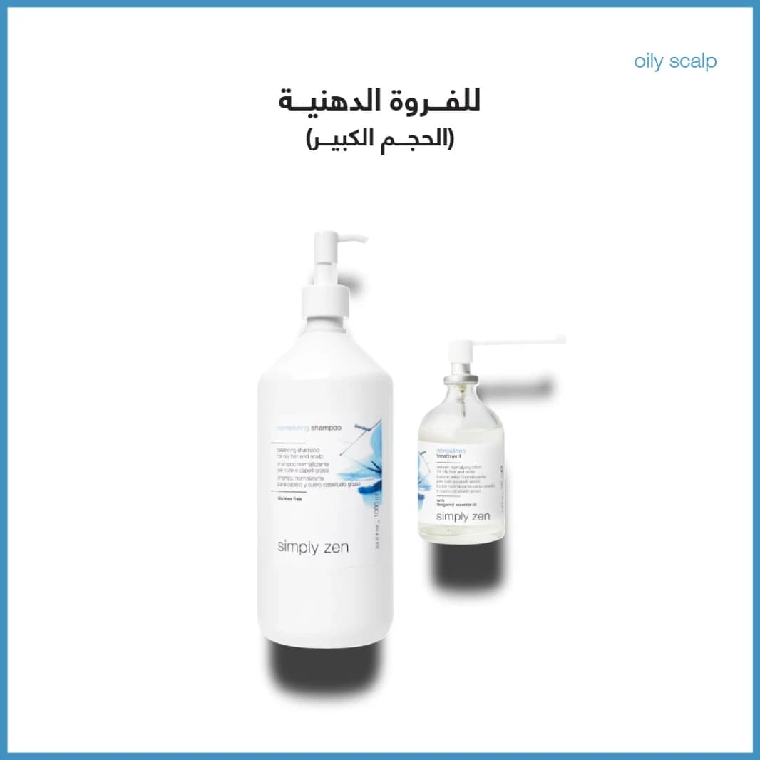 Oily Scalp Combo - Large Size