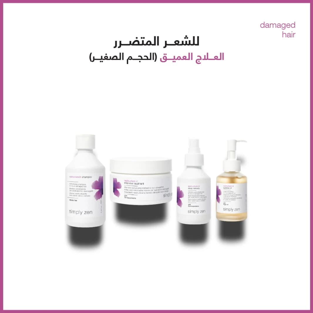 Deep Treatment Combo for Damaged Hair