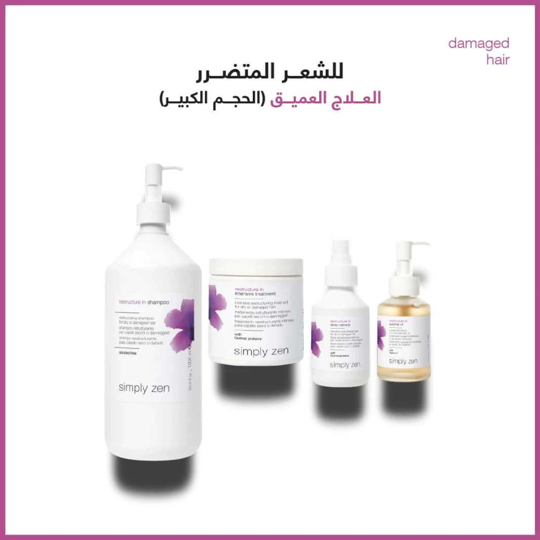 Deep Treatment Combo for Damaged Hair (Large)