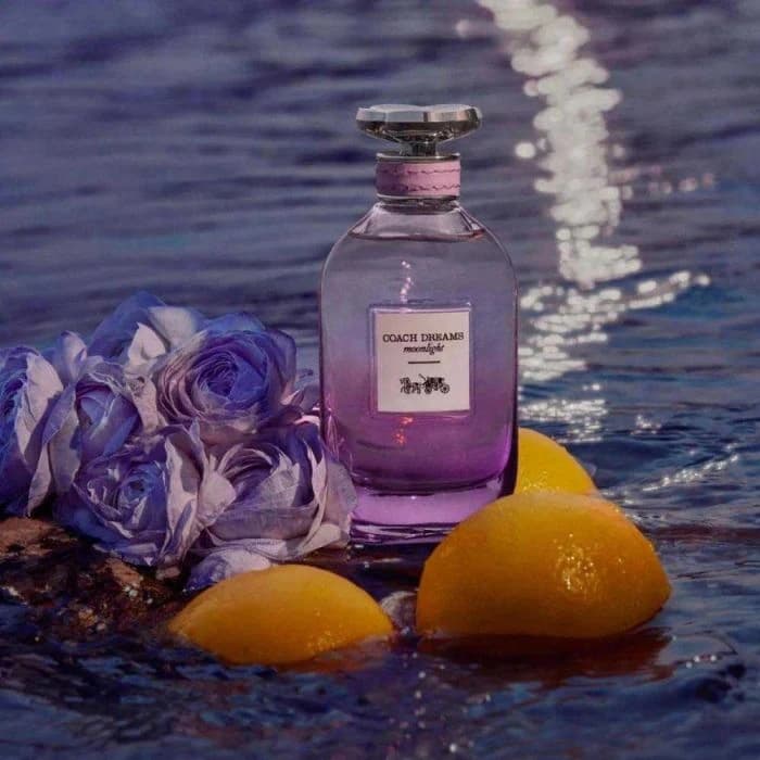 Coach Dreams Moonlight EDP For Women