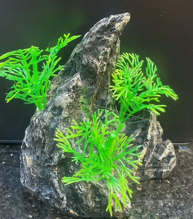 Resin ornaments