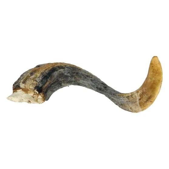 Doggy Bites Lamb Horn L