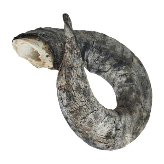 Doggy Bites Lamb Horn M