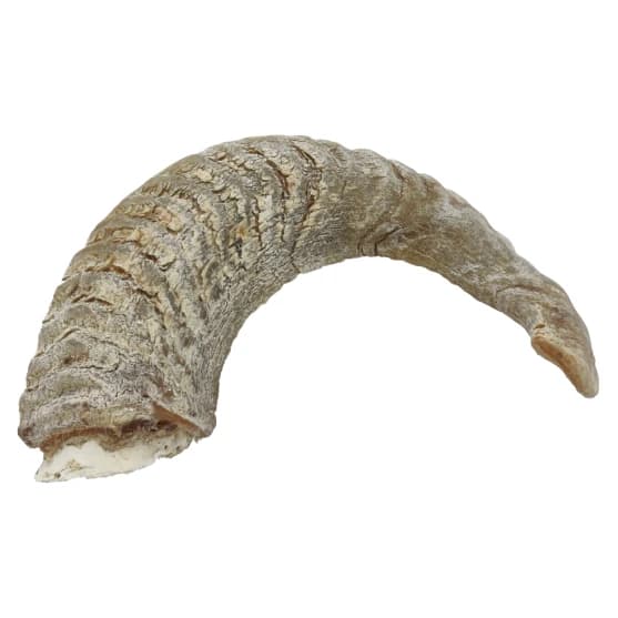 Doggy Bites Lamb Horn S