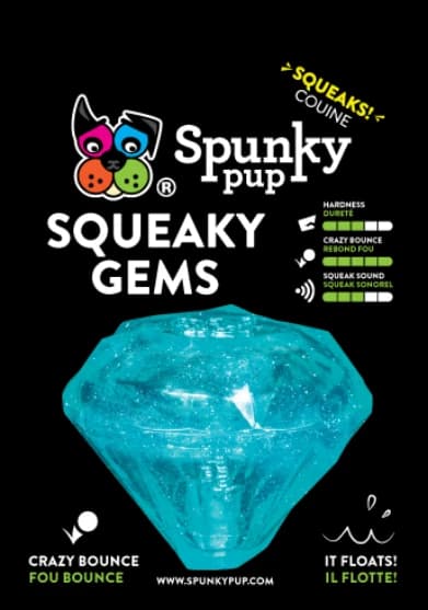 Spunky Pup Squeaker Dog Chew Toy