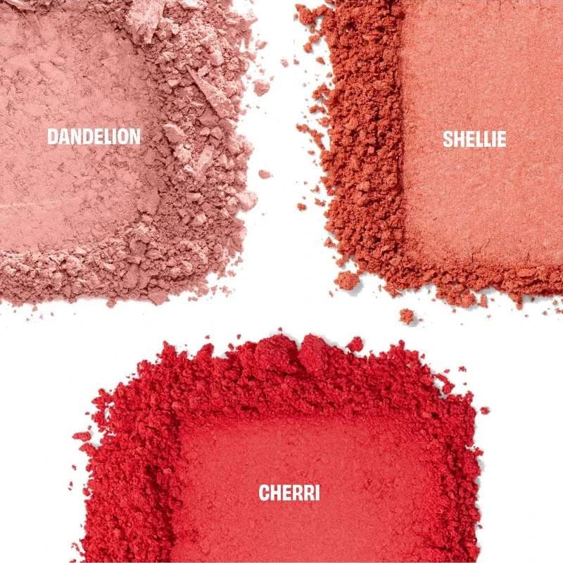 CHOCOLOTTA BLUSH H24 BLUSH MINI EASTER
