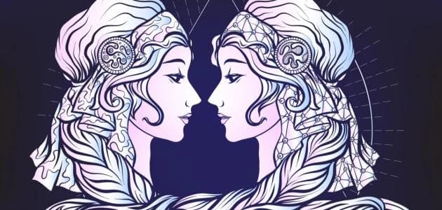 The features and disadvantages of Gemini