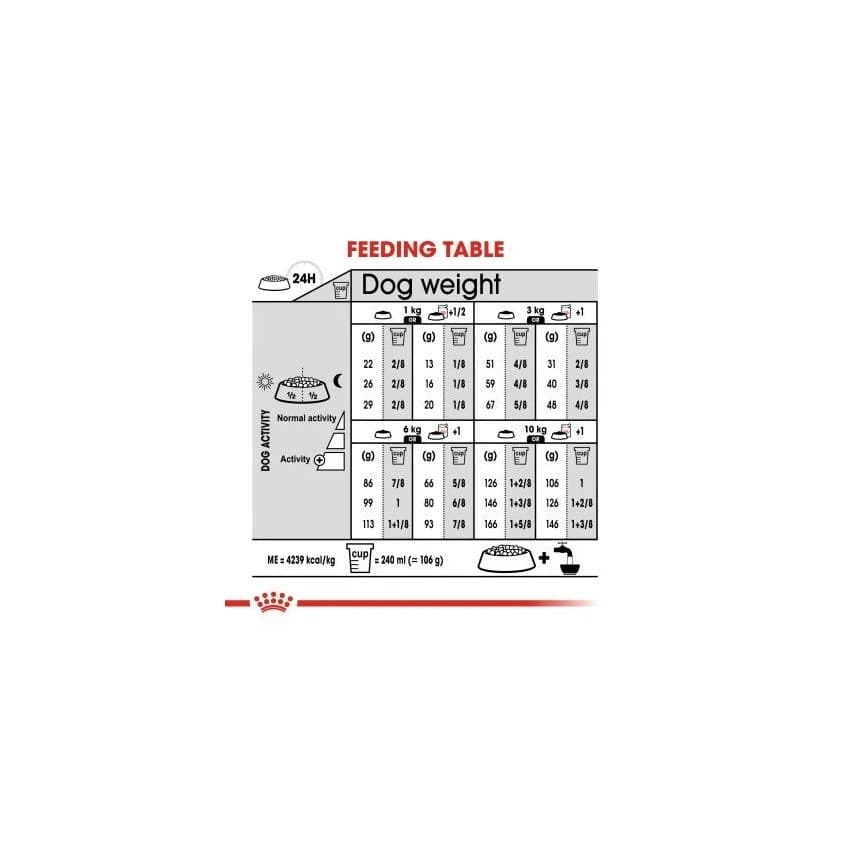 CCN MINI EXIGENT