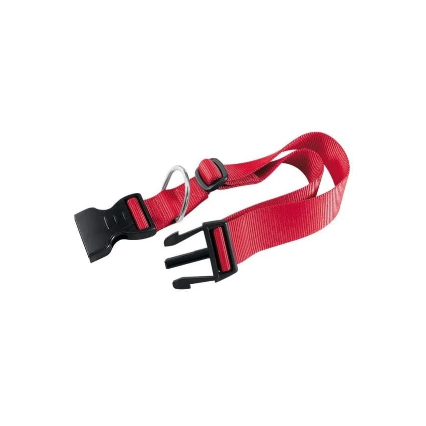 CLUB C COLLAR