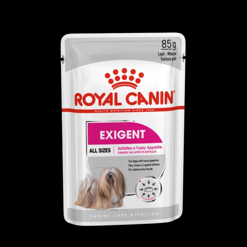 CCN EXIGENT LOAF 12X85G