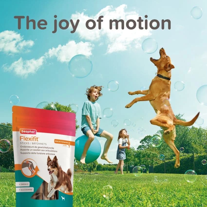 BEAPHAR FLEXIFIT TREATS DOG 150G