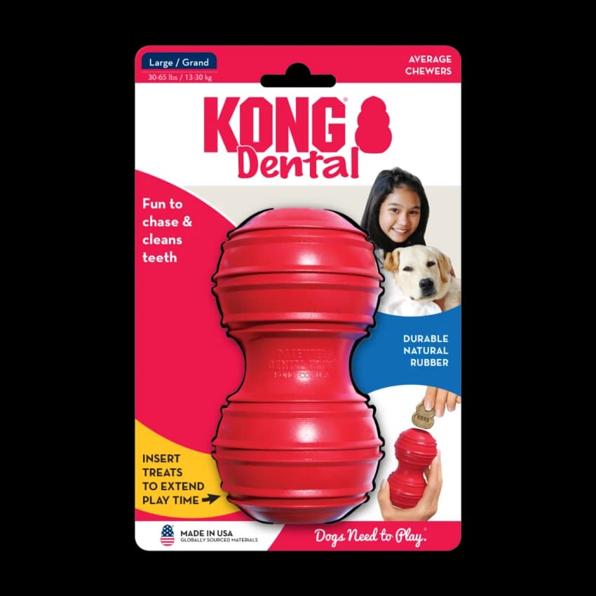 Dental X-Large