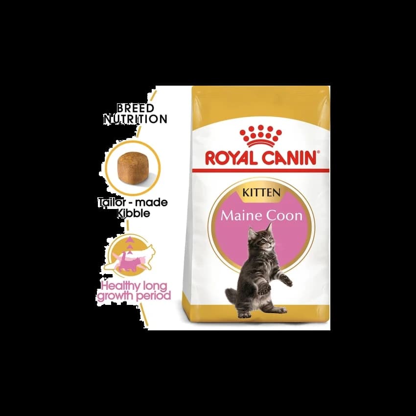 FBN MAINE COON KITTEN 2KG