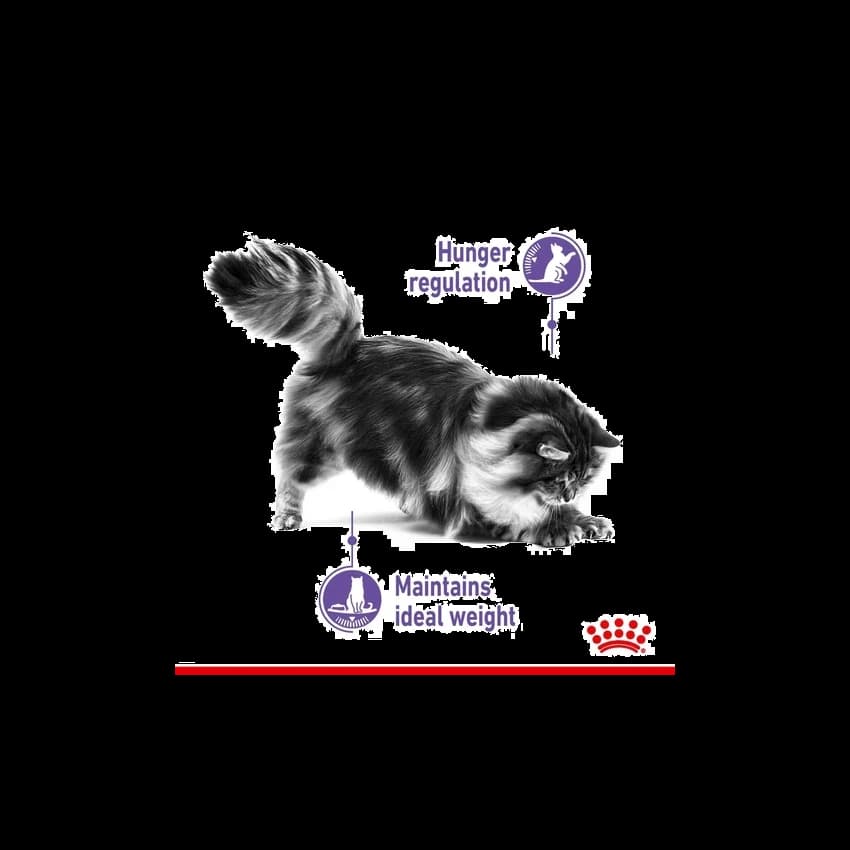FCN STERILISED APPET CTRL 2K