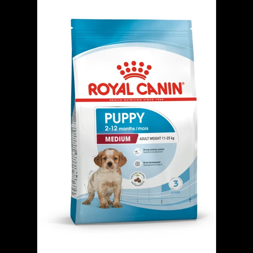 SHN MEDIUM PUPPY