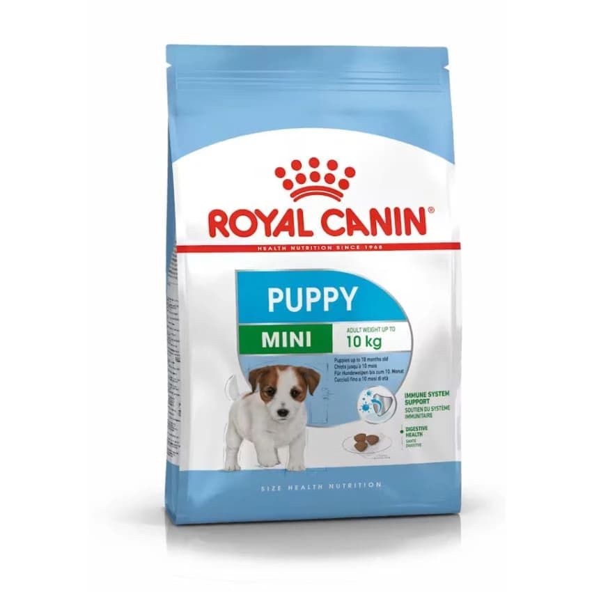 SHN MINI PUPPY