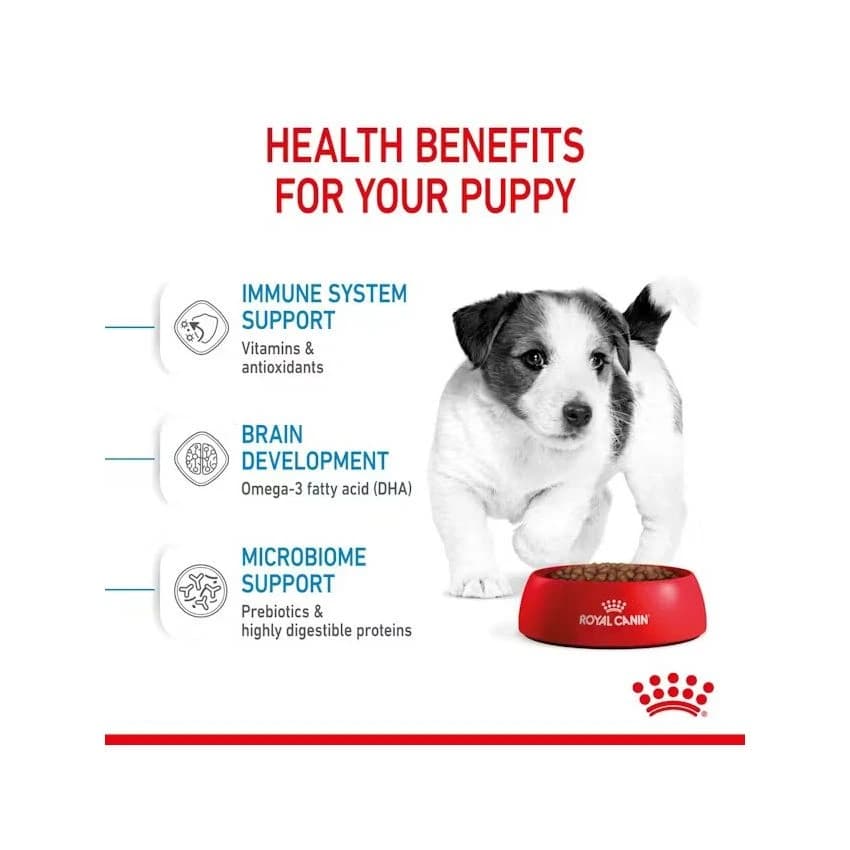 SHN MINI PUPPY