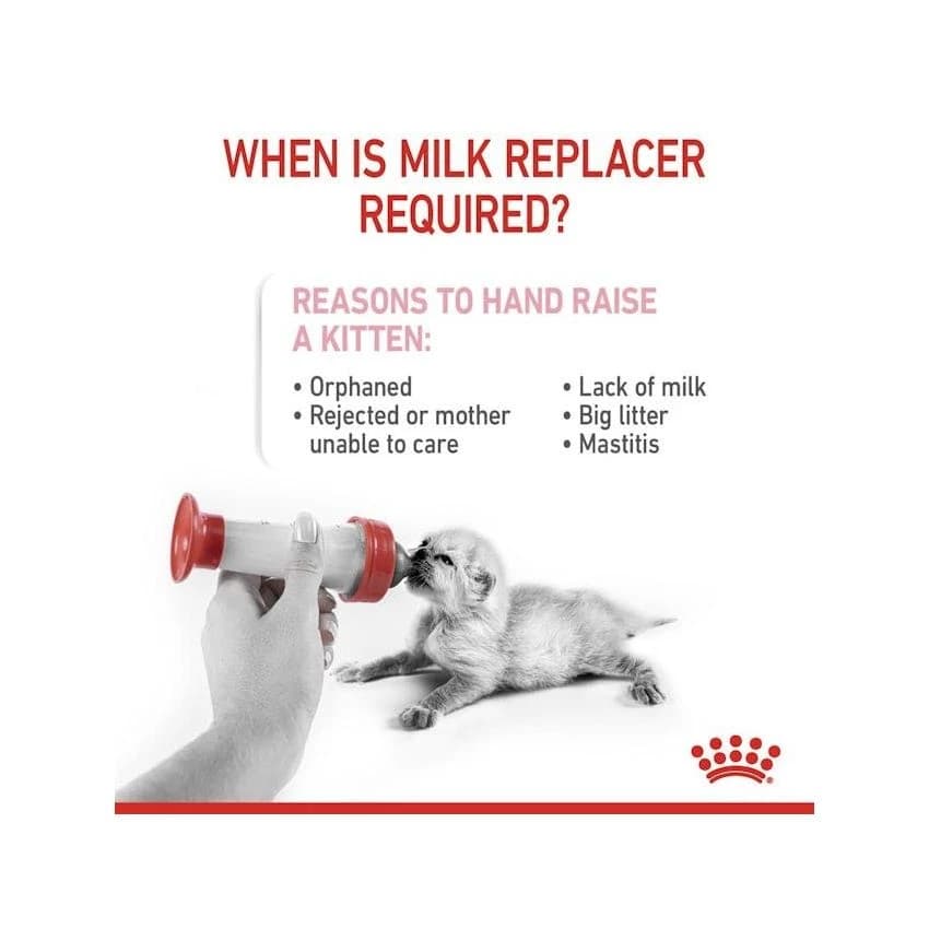 FHN BABYCAT MILK 300G