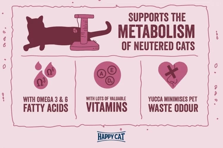 Minkas for Sterilised Cats
