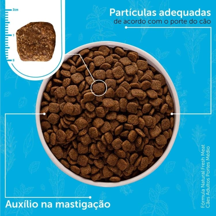 Natural Formula for Medium-Sized Adult Dogs