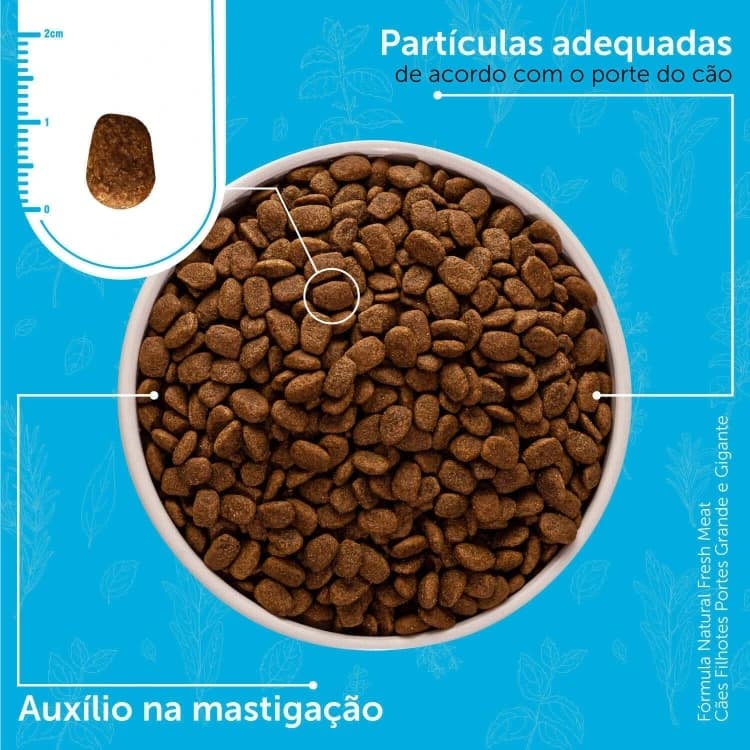 Natural Formula for Large Breed Puppies