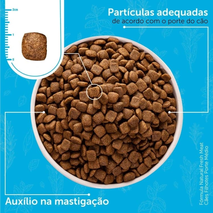 Natural Formula for Medium Breed Puppies