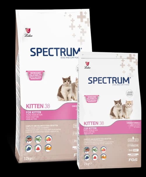Spectrum Kitten Chicken Kitten38
