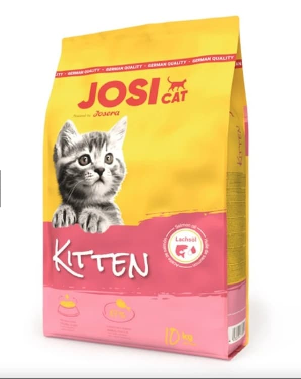Josie Kitten Chicken