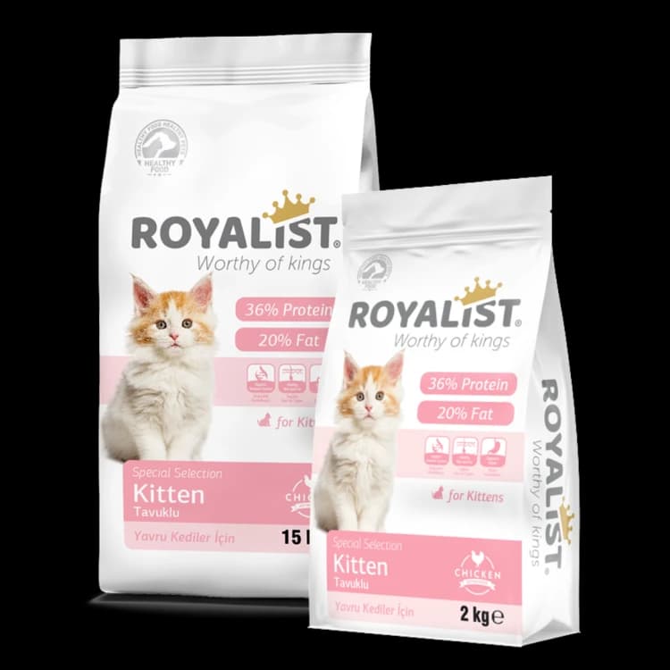 Royalist Kitten Chicken