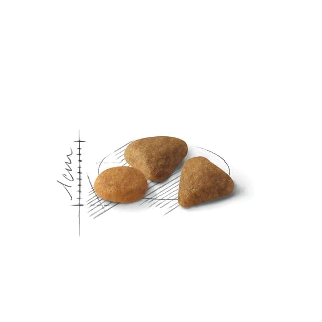 Royal Canin Savour
