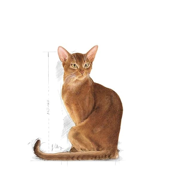 Royal Canin Savour