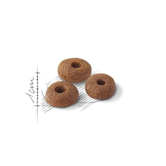 Royal Canin Fit