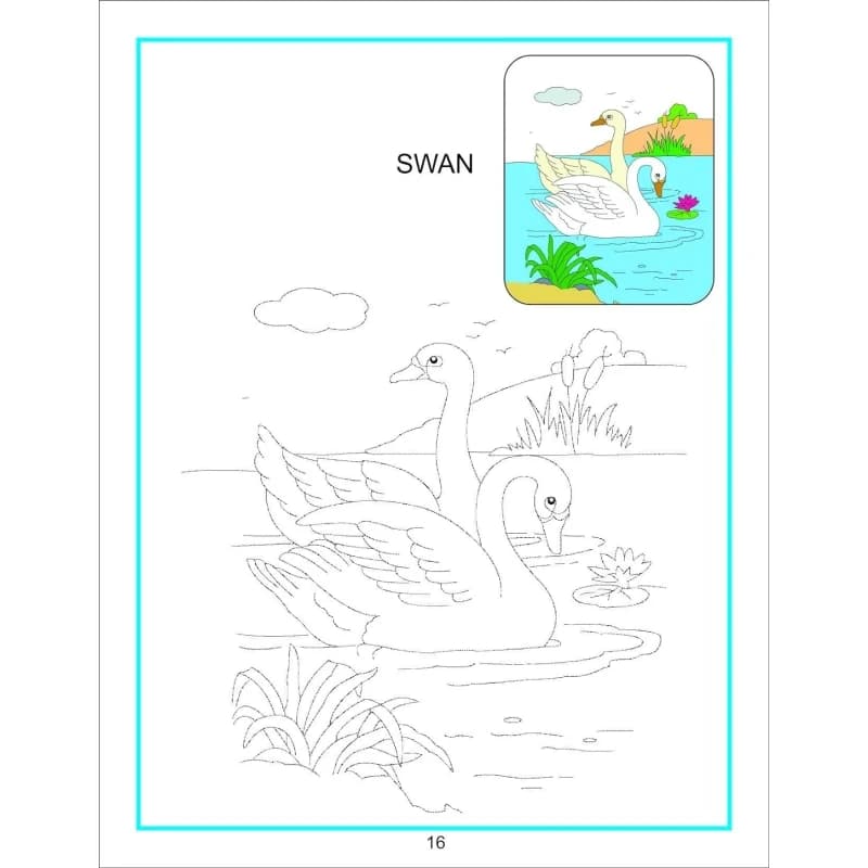 Dreamland | Creative Coloring Book | Water Animals