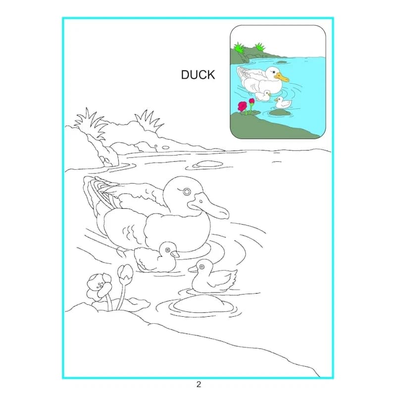 Dreamland | Creative Coloring Book | Water Animals
