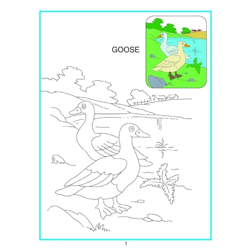 Dreamland | Creative Coloring Book | Water Animals